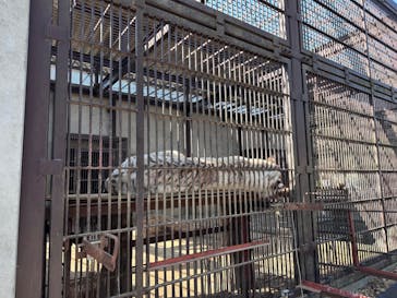 宇都宮動物園に投稿された画像（2026/2/22）