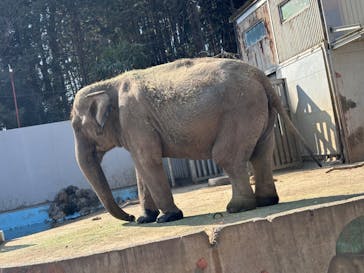 宇都宮動物園に投稿された画像（2026/2/22）