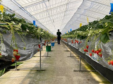 しい茸ランドかさやに投稿された画像（2026/2/22）