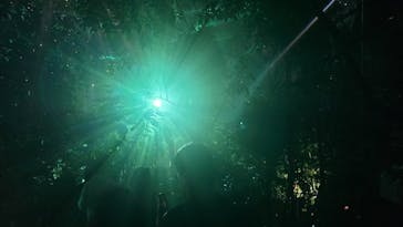 京都府立植物園　LIGHT CYCLES KYOTOに投稿された画像（2026/2/22）