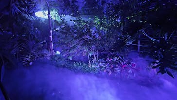 京都府立植物園　LIGHT CYCLES KYOTOに投稿された画像（2026/2/22）