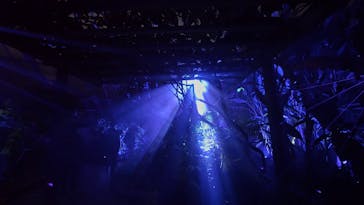 京都府立植物園　LIGHT CYCLES KYOTOに投稿された画像（2026/2/22）