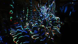 京都府立植物園　LIGHT CYCLES KYOTOに投稿された画像（2026/2/22）