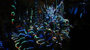 京都府立植物園　LIGHT CYCLES KYOTOに投稿された画像（2026/2/22）