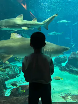 マリンワールド海の中道に投稿された画像（2026/2/22）