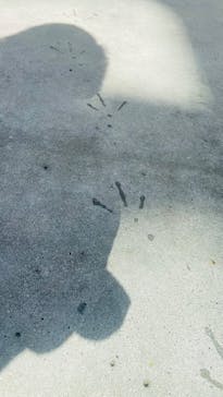 掛川花鳥園に投稿された画像（2026/2/22）