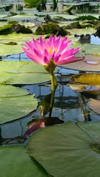 掛川花鳥園に投稿された画像（2026/2/22）