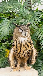 掛川花鳥園に投稿された画像（2026/2/22）