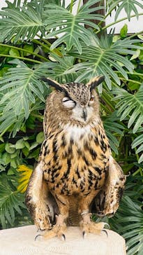 掛川花鳥園に投稿された画像（2026/2/22）