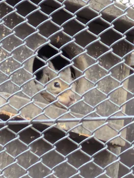 井の頭自然文化園に投稿された画像（2026/2/22）