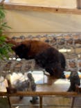 日立市かみね動物園に投稿された画像（2026/2/22）