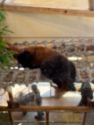 日立市かみね動物園に投稿された画像（2026/2/22）