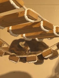 日立市かみね動物園に投稿された画像（2026/2/22）