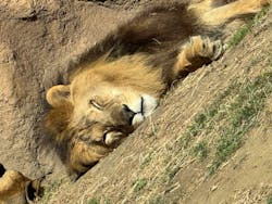 日立市かみね動物園に投稿された画像（2026/2/22）