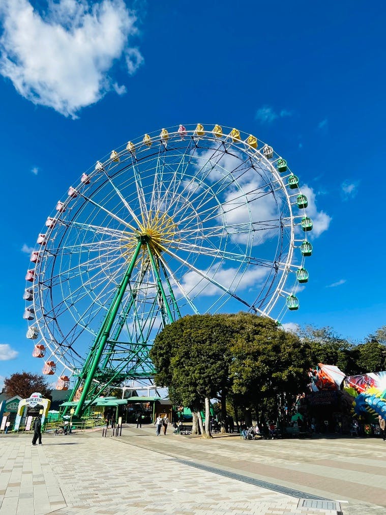 国営ひたち海浜公園プレジャーガーデンの口コミ ｜2回目の来園
