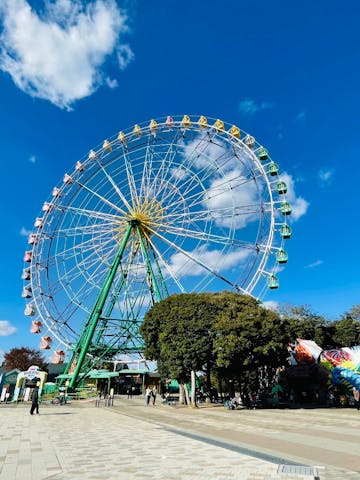 国営ひたち海浜公園プレジャーガーデンの口コミ ｜2回目の来園