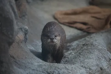 多摩動物公園に投稿された画像（2026/2/22）