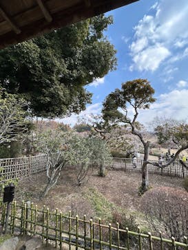 偕楽園本園に投稿された画像（2026/2/22）