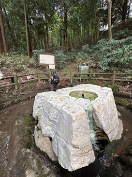 偕楽園本園に投稿された画像（2026/2/22）