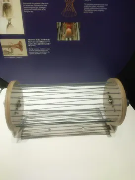 NAKED meets ガウディ展に投稿された画像（2026/2/22）