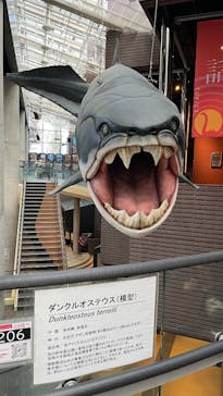 ミュージアムパーク茨城県自然博物館に投稿された画像（2026/2/22）