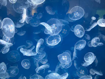 葛西臨海水族園に投稿された画像（2026/2/22）