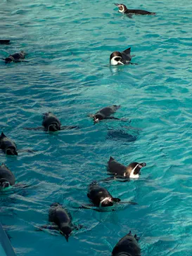 葛西臨海水族園に投稿された画像（2026/2/22）