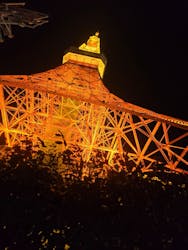 東京タワーに投稿された画像（2026/2/22）