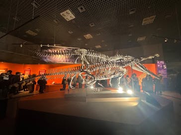 特別展「大絶滅展―生命史のビッグファイブ」に投稿された画像（2026/2/22）