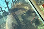 多摩動物公園に投稿された画像（2026/2/23）