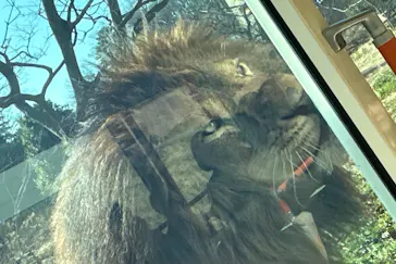 多摩動物公園に投稿された画像（2026/2/22）