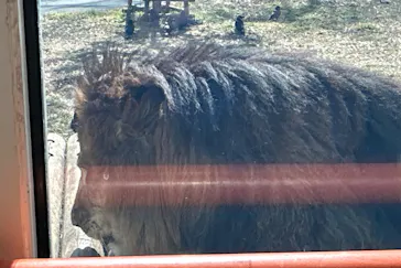 多摩動物公園に投稿された画像（2026/2/22）