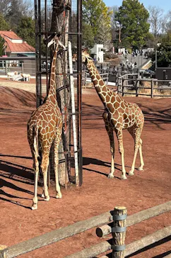 多摩動物公園に投稿された画像（2026/2/22）