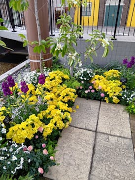 安城産業文化公園デンパークに投稿された画像（2026/2/22）