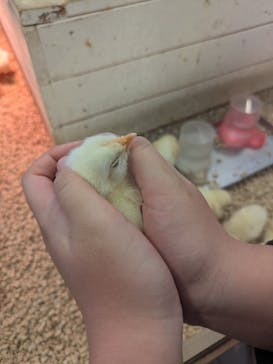 Moff animal world BIGHOPガーデンモール印西店に投稿された画像（2026/2/22）