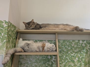 Moff animal world BIGHOPガーデンモール印西店に投稿された画像（2026/2/22）