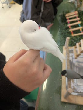 Moff animal world BIGHOPガーデンモール印西店に投稿された画像（2026/2/22）