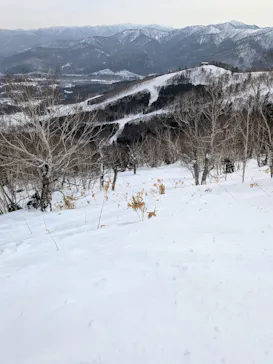 星野リゾート　トマムスキー場に投稿された画像（2026/2/22）