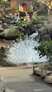 伊豆シャボテン動物公園に投稿された画像（2026/2/22）