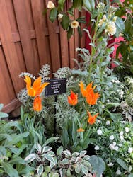 安城産業文化公園デンパークに投稿された画像（2026/2/22）