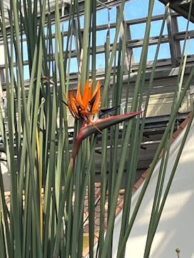 安城産業文化公園デンパークに投稿された画像（2026/2/22）