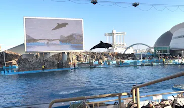 名古屋港水族館に投稿された画像（2026/2/22）