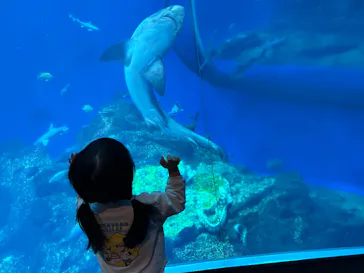アクアワールド茨城県大洗水族館に投稿された画像（2026/2/22）