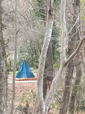 ムーミンバレーパークに投稿された画像（2026/2/22）