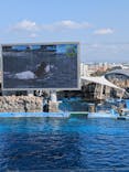 名古屋港水族館に投稿された画像（2026/2/23）