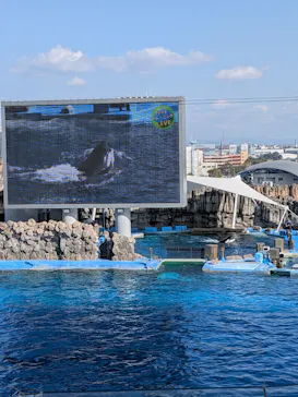 名古屋港水族館に投稿された画像（2026/2/23）
