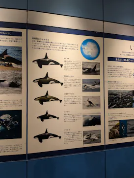 名古屋港水族館に投稿された画像（2026/2/23）