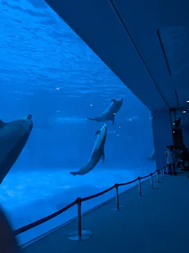 名古屋港水族館に投稿された画像（2026/2/23）