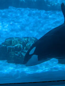 名古屋港水族館に投稿された画像（2026/2/23）