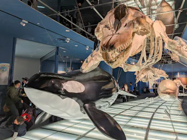 名古屋港水族館に投稿された画像（2026/2/23）